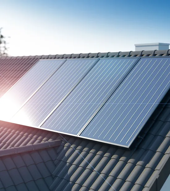 Maximize Your Solar Investment: The Importance of Professional Solar Panel Cleaning