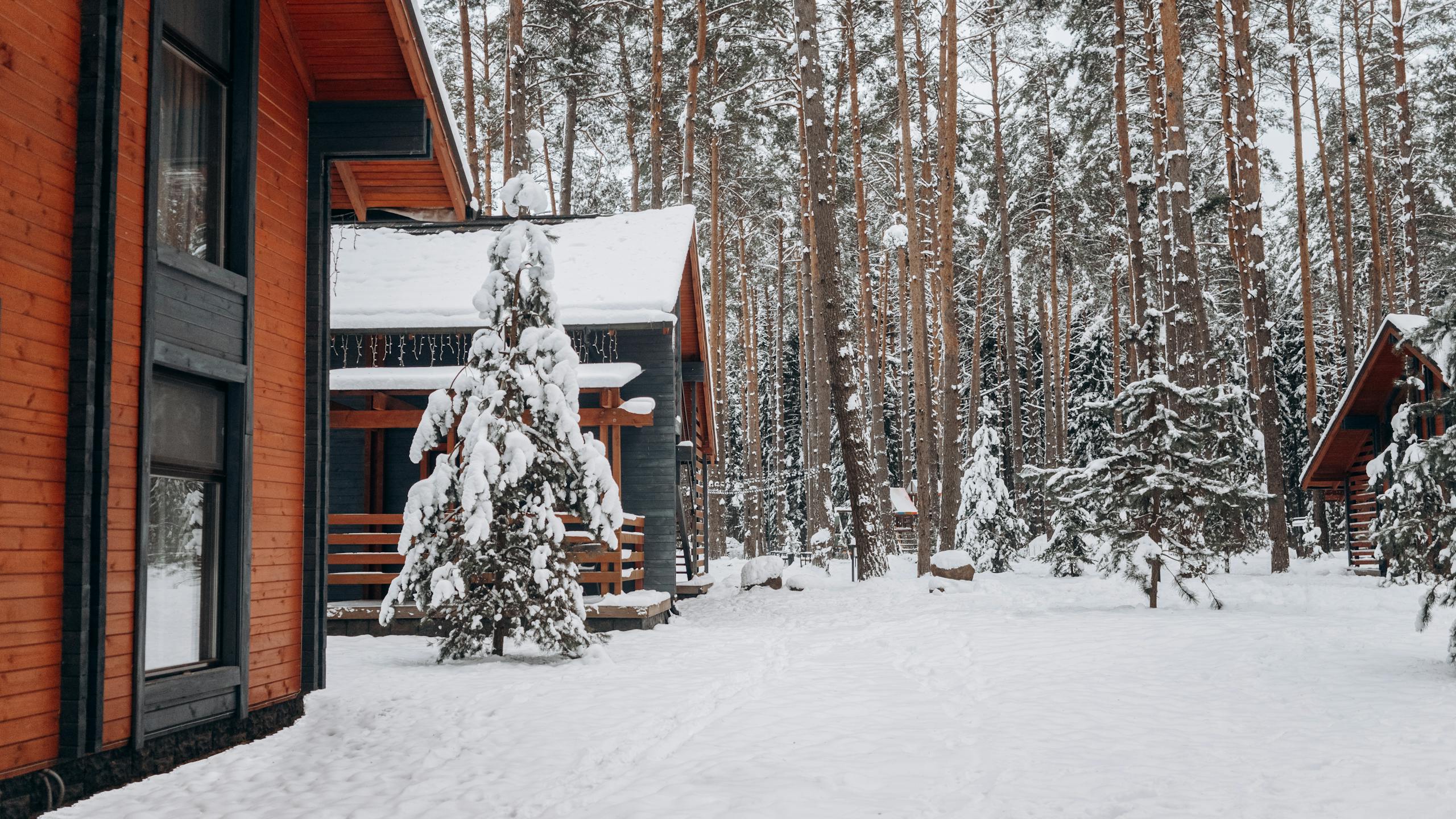 A cozy wooden cabin nestled in a snow-covered forest during wintertime.