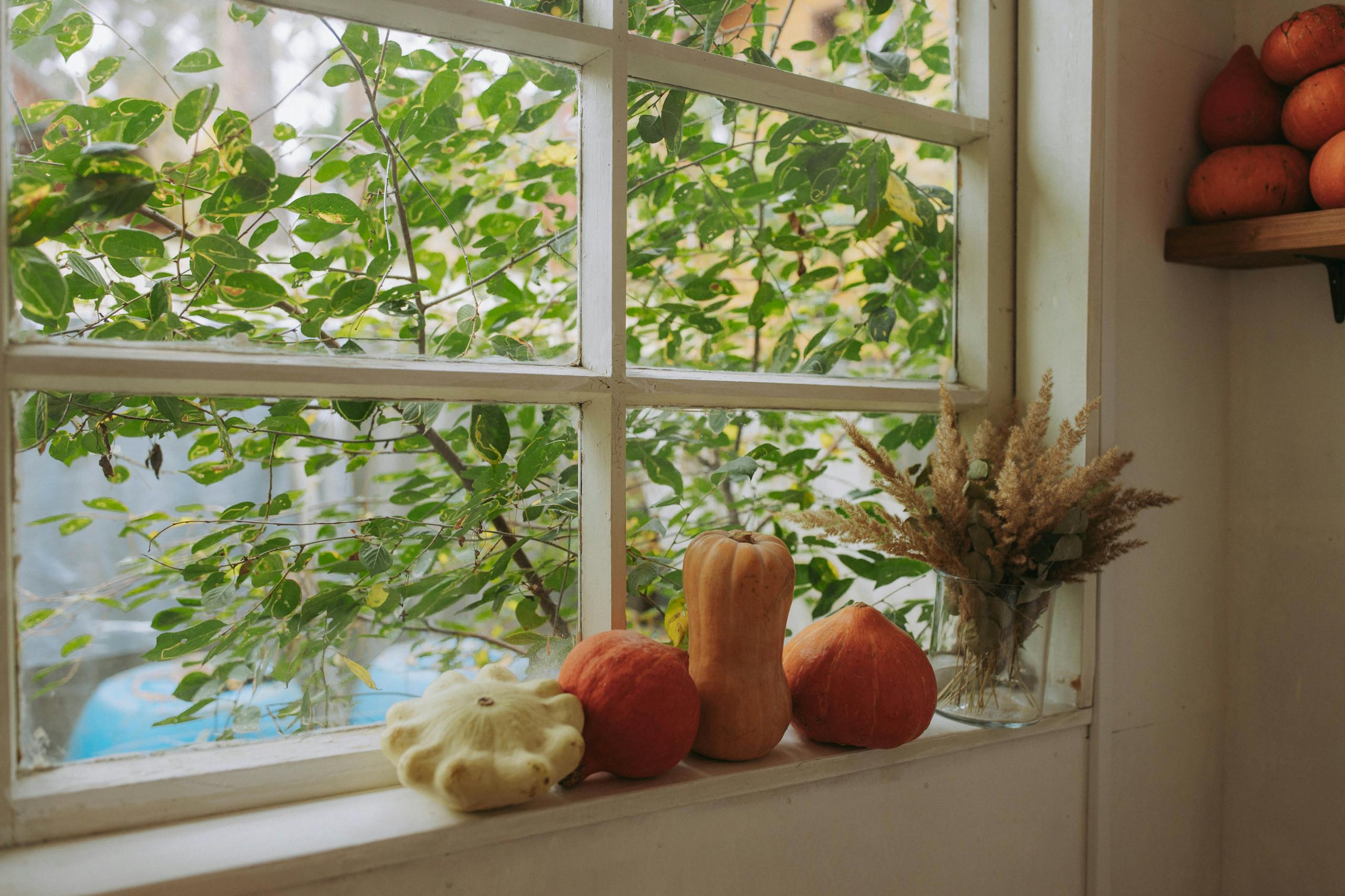 Cozy autumn scene with pumpkins and dried grass on a windowsill, perfect for fall decor inspiration.